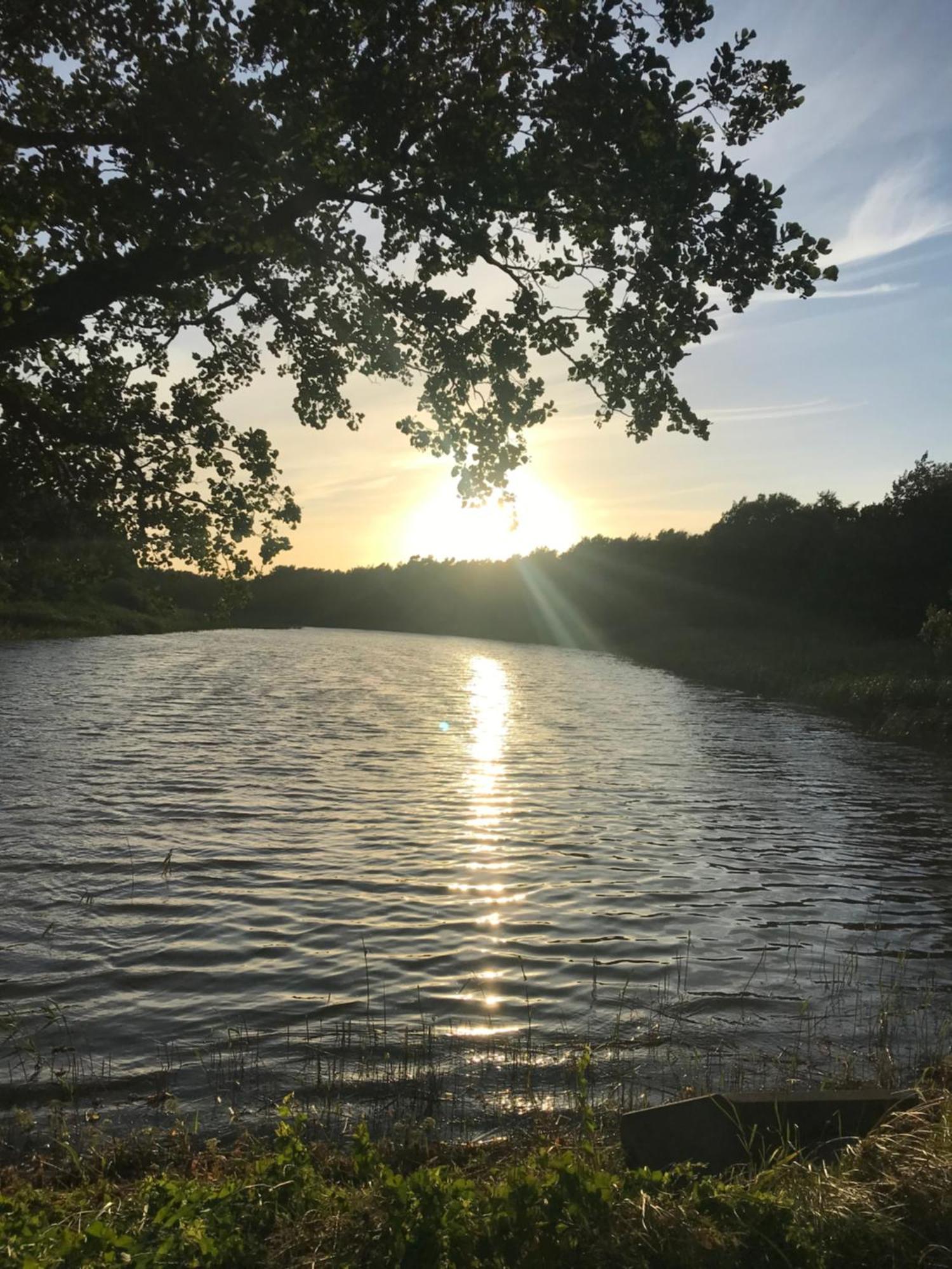 Sonnenwind Lägenhet Prerow Exteriör bild